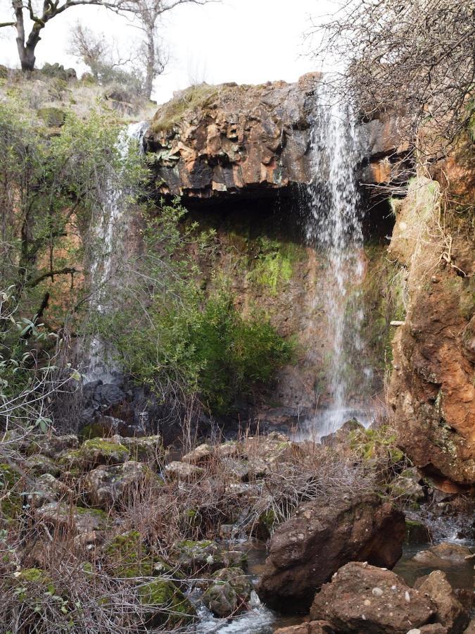 Bear Creek Falls Lodge On 67 Acres Creek & Waterfalls Millville Zewnętrze zdjęcie